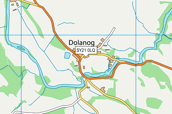 SY21 0LQ map - OS VectorMap District (Ordnance Survey) SY21 0LQ map - OS VectorMap District (Ordnance Survey)