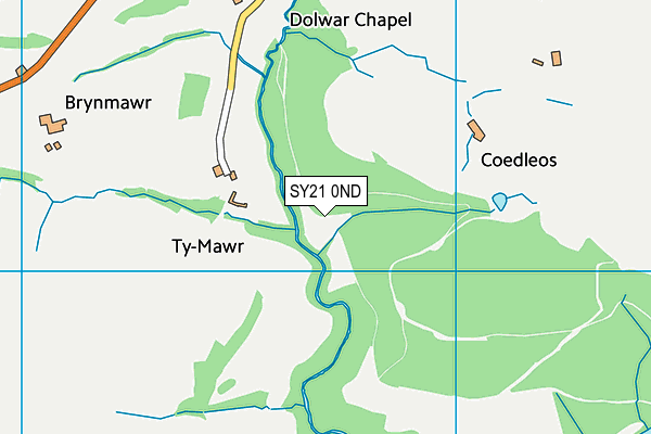 SY21 0ND map - OS VectorMap District (Ordnance Survey) SY21 0ND map - OS VectorMap District (Ordnance Survey)