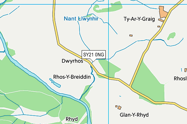 SY21 0NG map - OS VectorMap District (Ordnance Survey) SY21 0NG map - OS VectorMap District (Ordnance Survey)