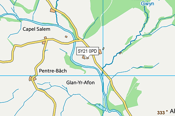 SY21 0PD map - OS VectorMap District (Ordnance Survey) SY21 0PD map - OS VectorMap District (Ordnance Survey)