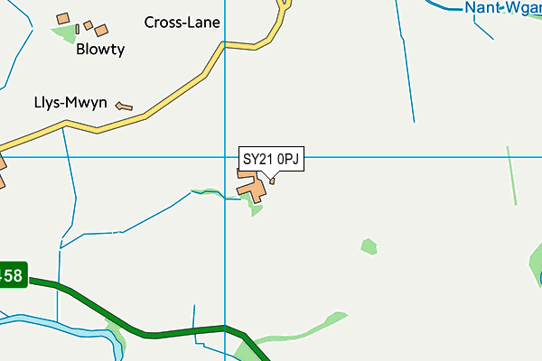 SY21 0PJ map - OS VectorMap District (Ordnance Survey) SY21 0PJ map - OS VectorMap District (Ordnance Survey)