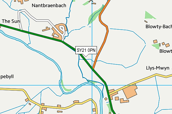 SY21 0PN map - OS VectorMap District (Ordnance Survey) SY21 0PN map - OS VectorMap District (Ordnance Survey)
