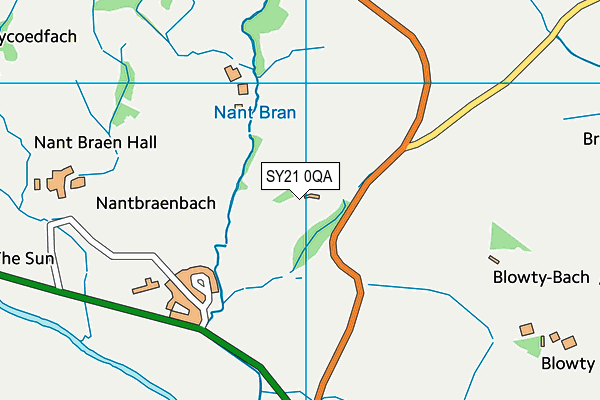 SY21 0QA map - OS VectorMap District (Ordnance Survey) SY21 0QA map - OS VectorMap District (Ordnance Survey)