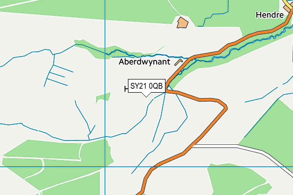 SY21 0QB map - OS VectorMap District (Ordnance Survey) SY21 0QB map - OS VectorMap District (Ordnance Survey)