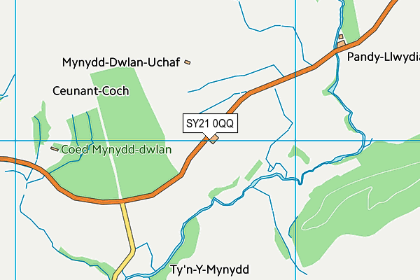 SY21 0QQ map - OS VectorMap District (Ordnance Survey) SY21 0QQ map - OS VectorMap District (Ordnance Survey)