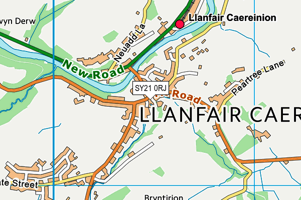 SY21 0RJ map - OS VectorMap District (Ordnance Survey)