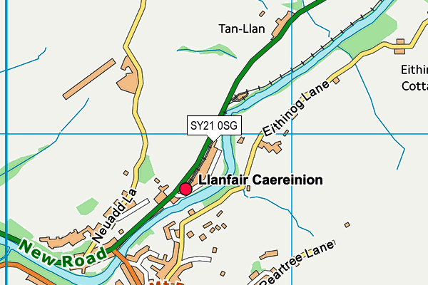 SY21 0SG map - OS VectorMap District (Ordnance Survey)
