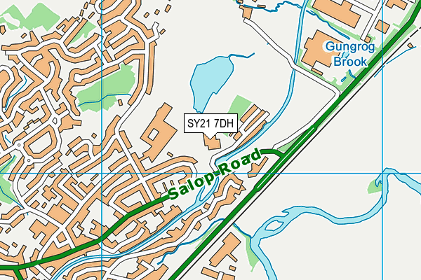 SY21 7DH map - OS VectorMap District (Ordnance Survey) SY21 7DH map - OS VectorMap District (Ordnance Survey)