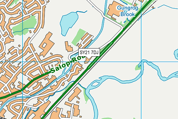 SY21 7DJ map - OS VectorMap District (Ordnance Survey) SY21 7DJ map - OS VectorMap District (Ordnance Survey)