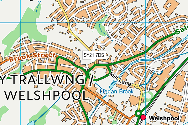 SY21 7DS map - OS VectorMap District (Ordnance Survey) SY21 7DS map - OS VectorMap District (Ordnance Survey)