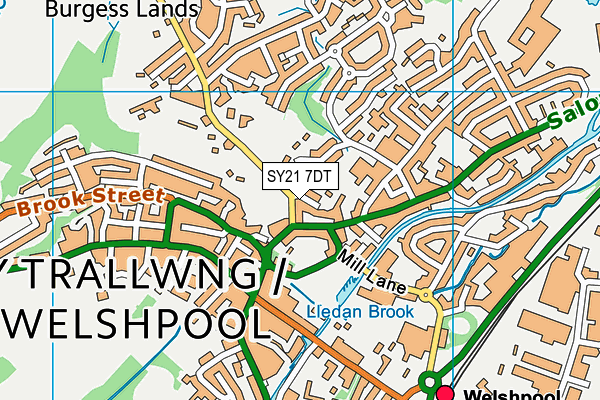 SY21 7DT map - OS VectorMap District (Ordnance Survey) SY21 7DT map - OS VectorMap District (Ordnance Survey)