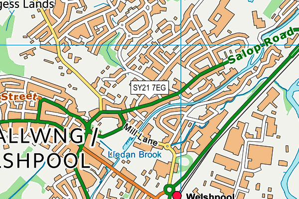 SY21 7EG map - OS VectorMap District (Ordnance Survey) SY21 7EG map - OS VectorMap District (Ordnance Survey)