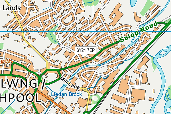 SY21 7EP map - OS VectorMap District (Ordnance Survey) SY21 7EP map - OS VectorMap District (Ordnance Survey)