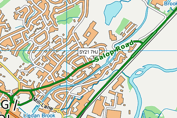 SY21 7HJ map - OS VectorMap District (Ordnance Survey) SY21 7HJ map - OS VectorMap District (Ordnance Survey)