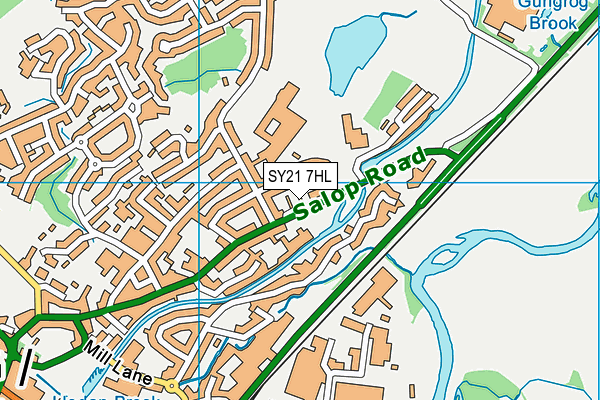 SY21 7HL map - OS VectorMap District (Ordnance Survey) SY21 7HL map - OS VectorMap District (Ordnance Survey)