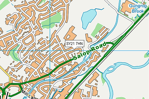 SY21 7HN map - OS VectorMap District (Ordnance Survey) SY21 7HN map - OS VectorMap District (Ordnance Survey)