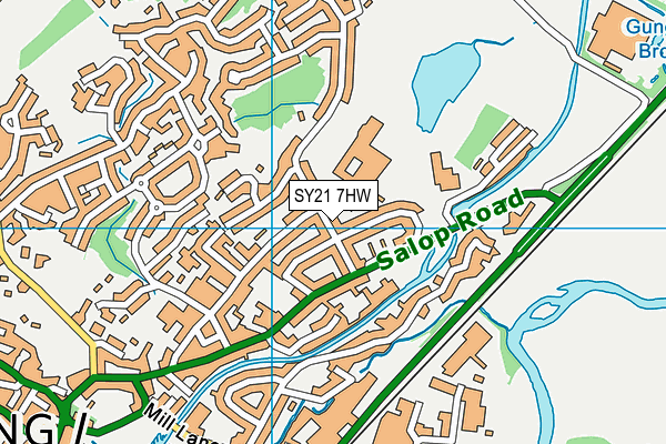 SY21 7HW map - OS VectorMap District (Ordnance Survey) SY21 7HW map - OS VectorMap District (Ordnance Survey)