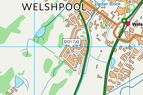SY21 7JG map - OS VectorMap District (Ordnance Survey) SY21 7JG map - OS VectorMap District (Ordnance Survey)