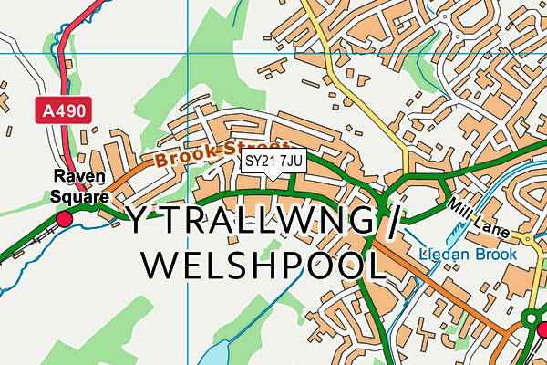 SY21 7JU map - OS VectorMap District (Ordnance Survey)