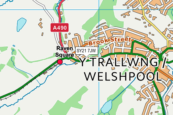 SY21 7JW map - OS VectorMap District (Ordnance Survey) SY21 7JW map - OS VectorMap District (Ordnance Survey)