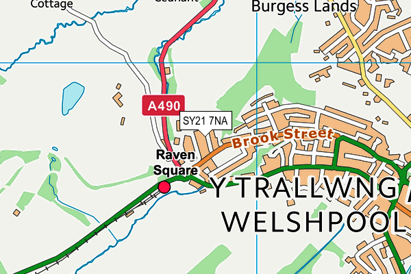 SY21 7NA map - OS VectorMap District (Ordnance Survey) SY21 7NA map - OS VectorMap District (Ordnance Survey)