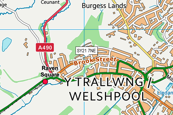 SY21 7NE map - OS VectorMap District (Ordnance Survey) SY21 7NE map - OS VectorMap District (Ordnance Survey)