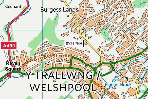 SY21 7NH map - OS VectorMap District (Ordnance Survey) SY21 7NH map - OS VectorMap District (Ordnance Survey)