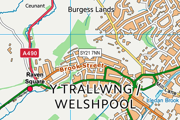 SY21 7NN map - OS VectorMap District (Ordnance Survey) SY21 7NN map - OS VectorMap District (Ordnance Survey)