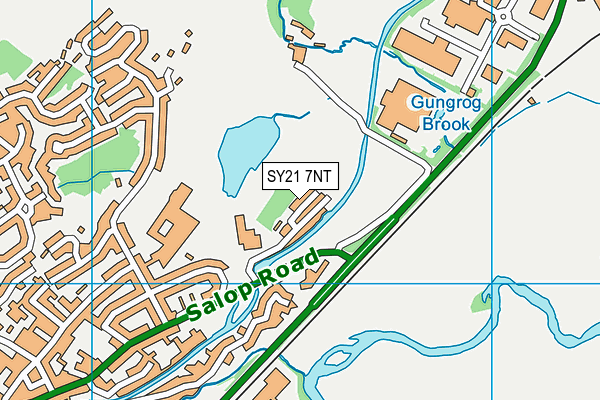 SY21 7NT map - OS VectorMap District (Ordnance Survey)