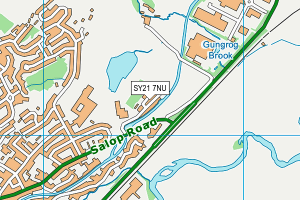 SY21 7NU map - OS VectorMap District (Ordnance Survey) SY21 7NU map - OS VectorMap District (Ordnance Survey)