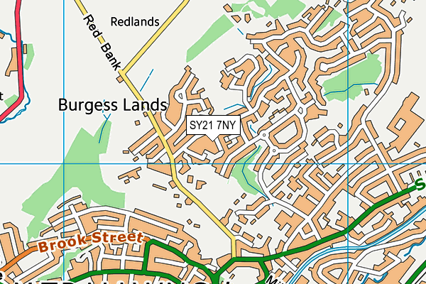 SY21 7NY map - OS VectorMap District (Ordnance Survey)