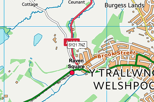 SY21 7NZ map - OS VectorMap District (Ordnance Survey) SY21 7NZ map - OS VectorMap District (Ordnance Survey)