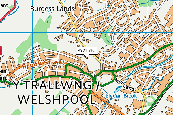 SY21 7PJ map - OS VectorMap District (Ordnance Survey) SY21 7PJ map - OS VectorMap District (Ordnance Survey)