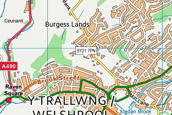 SY21 7PN map - OS VectorMap District (Ordnance Survey) SY21 7PN map - OS VectorMap District (Ordnance Survey)