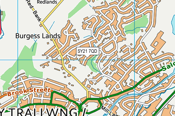 SY21 7QD map - OS VectorMap District (Ordnance Survey) SY21 7QD map - OS VectorMap District (Ordnance Survey)