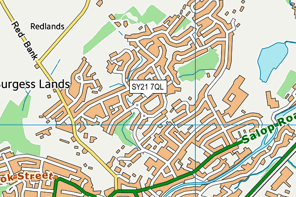 SY21 7QL map - OS VectorMap District (Ordnance Survey) SY21 7QL map - OS VectorMap District (Ordnance Survey)