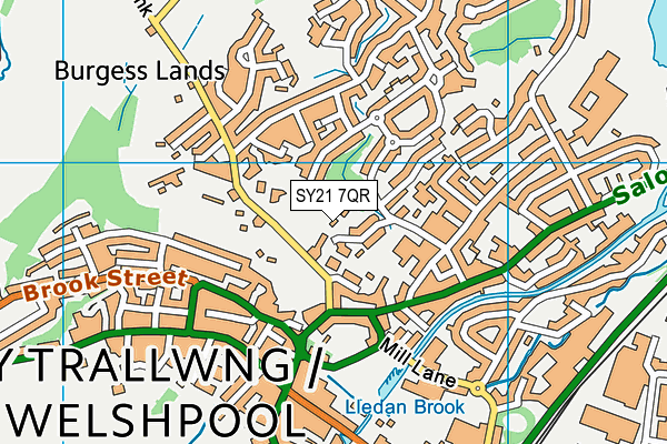 SY21 7QR map - OS VectorMap District (Ordnance Survey)