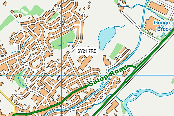 SY21 7RE map - OS VectorMap District (Ordnance Survey)