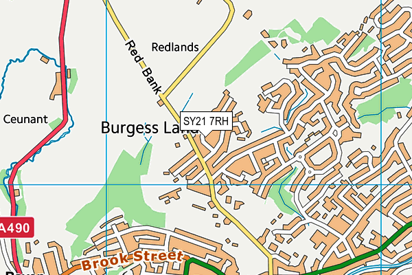 SY21 7RH map - OS VectorMap District (Ordnance Survey) SY21 7RH map - OS VectorMap District (Ordnance Survey)