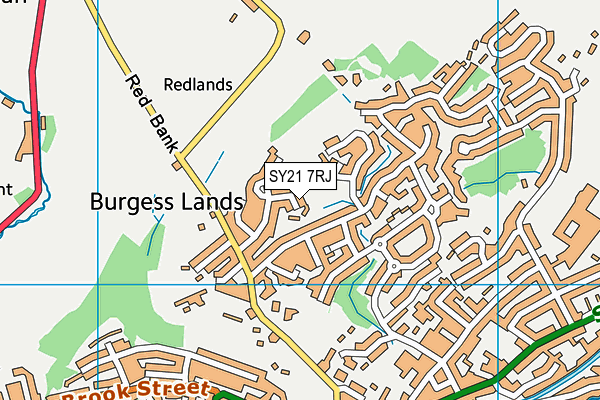 SY21 7RJ map - OS VectorMap District (Ordnance Survey) SY21 7RJ map - OS VectorMap District (Ordnance Survey)