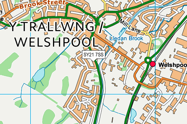 SY21 7SS map - OS VectorMap District (Ordnance Survey) SY21 7SS map - OS VectorMap District (Ordnance Survey)