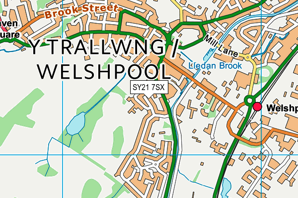 SY21 7SX map - OS VectorMap District (Ordnance Survey) SY21 7SX map - OS VectorMap District (Ordnance Survey)