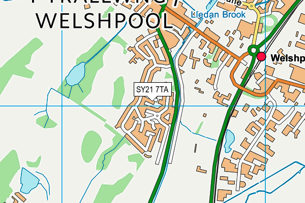 SY21 7TA map - OS VectorMap District (Ordnance Survey) SY21 7TA map - OS VectorMap District (Ordnance Survey)