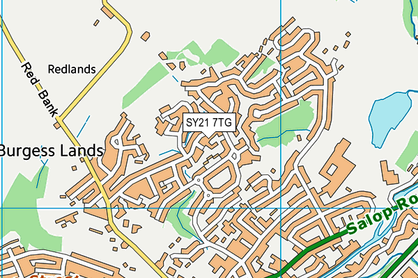SY21 7TG map - OS VectorMap District (Ordnance Survey) SY21 7TG map - OS VectorMap District (Ordnance Survey)