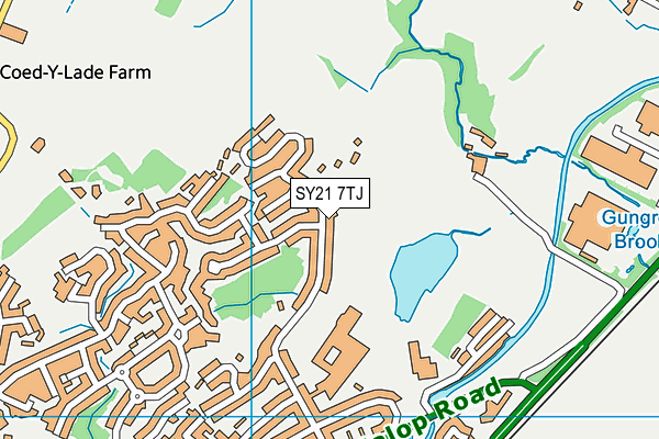 SY21 7TJ map - OS VectorMap District (Ordnance Survey) SY21 7TJ map - OS VectorMap District (Ordnance Survey)