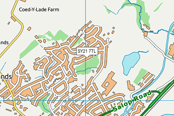 SY21 7TL map - OS VectorMap District (Ordnance Survey) SY21 7TL map - OS VectorMap District (Ordnance Survey)