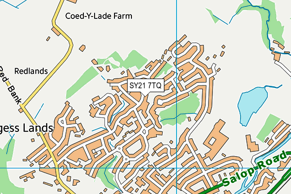 SY21 7TQ map - OS VectorMap District (Ordnance Survey) SY21 7TQ map - OS VectorMap District (Ordnance Survey)