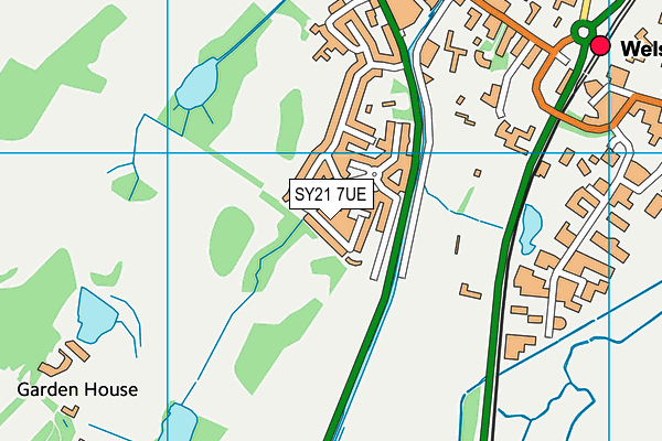 SY21 7UE map - OS VectorMap District (Ordnance Survey) SY21 7UE map - OS VectorMap District (Ordnance Survey)