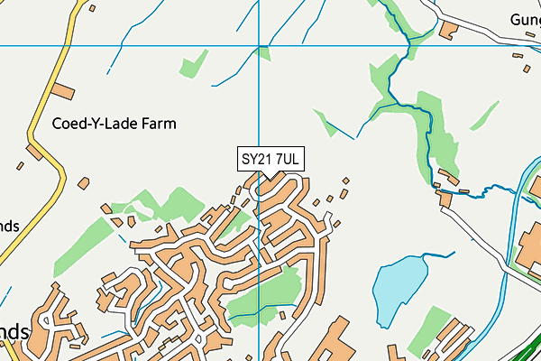 SY21 7UL map - OS VectorMap District (Ordnance Survey) SY21 7UL map - OS VectorMap District (Ordnance Survey)
