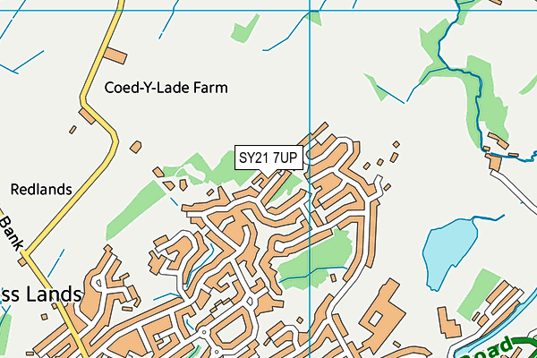 SY21 7UP map - OS VectorMap District (Ordnance Survey) SY21 7UP map - OS VectorMap District (Ordnance Survey)